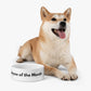 Employee of the Month Pet Bowl
